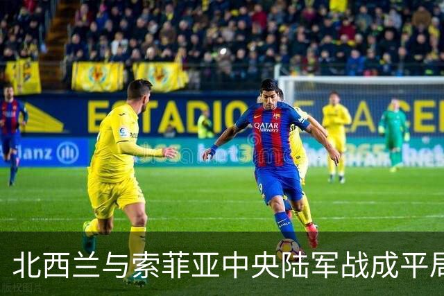 北西兰与索菲亚中央陆军战成平局，戈多伊表现出色